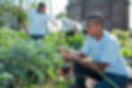 Community Garden Activity
