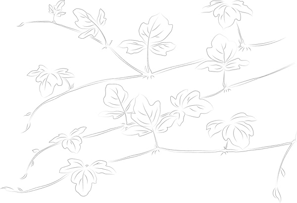 kudzu-material-4.png