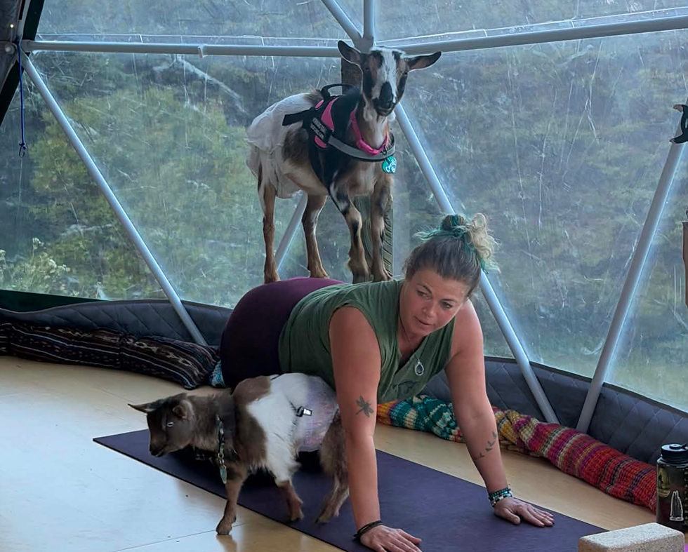 Goat Yoga adult +13 Class