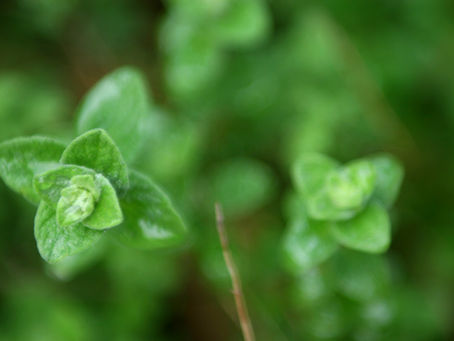Schneider Electric: Powering sustainability and innovation
