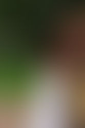 God's Got Me: The Intersection of Faith and Mental Healing