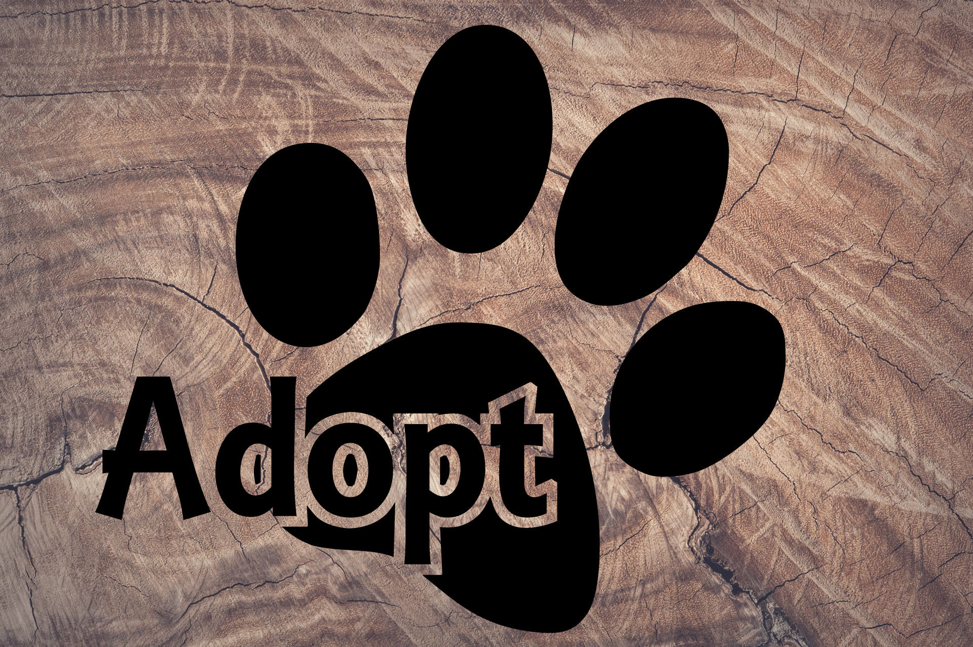 Adopt - Paw Print