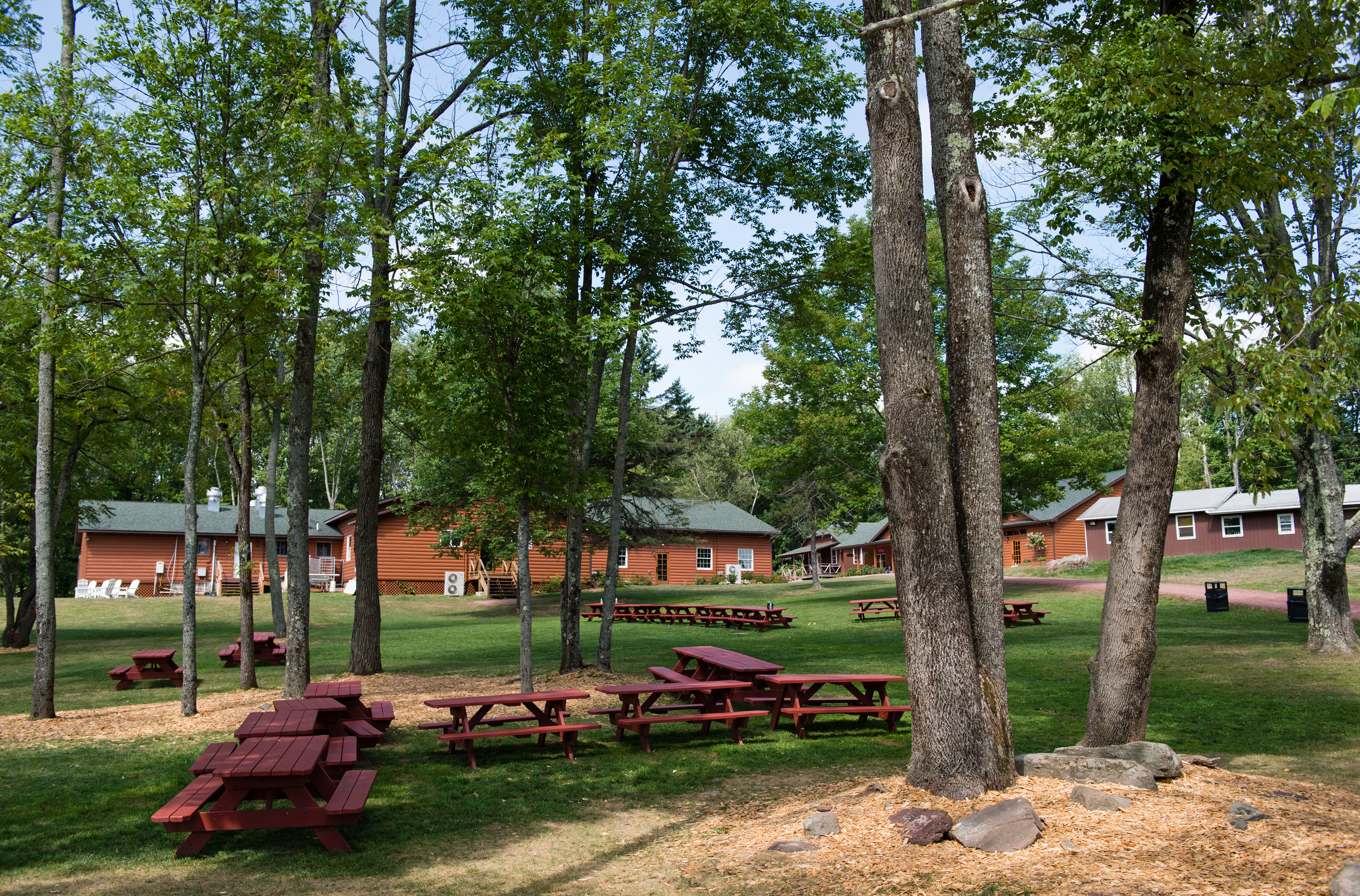 CLC Picnic Grove