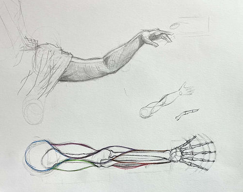 arms.jpg