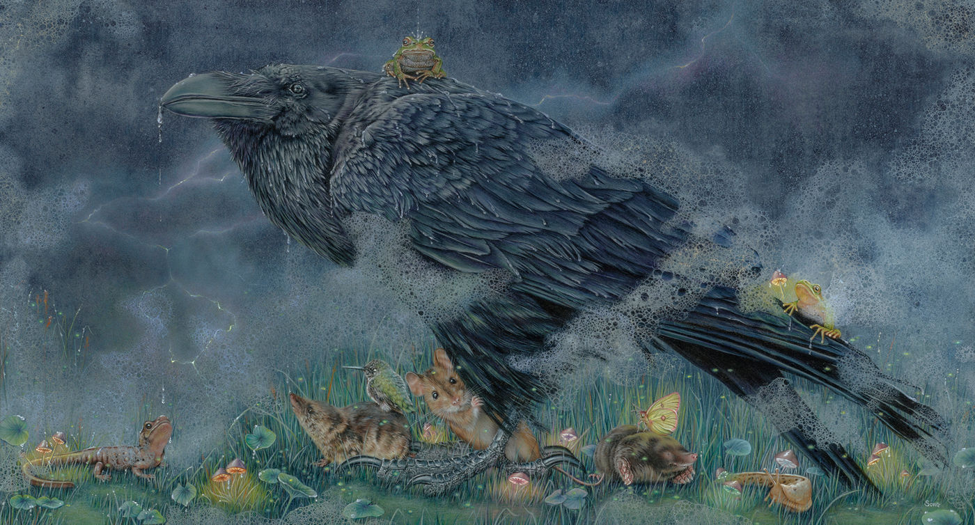 B64 "Shelter From the Storm"
