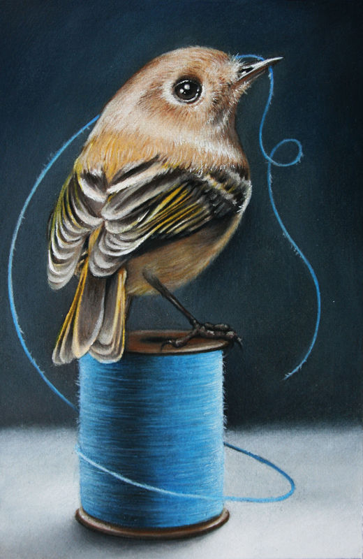 B05 "Domesticity"