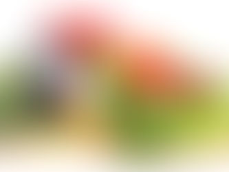 Low Fat Diet Plan to Inspire