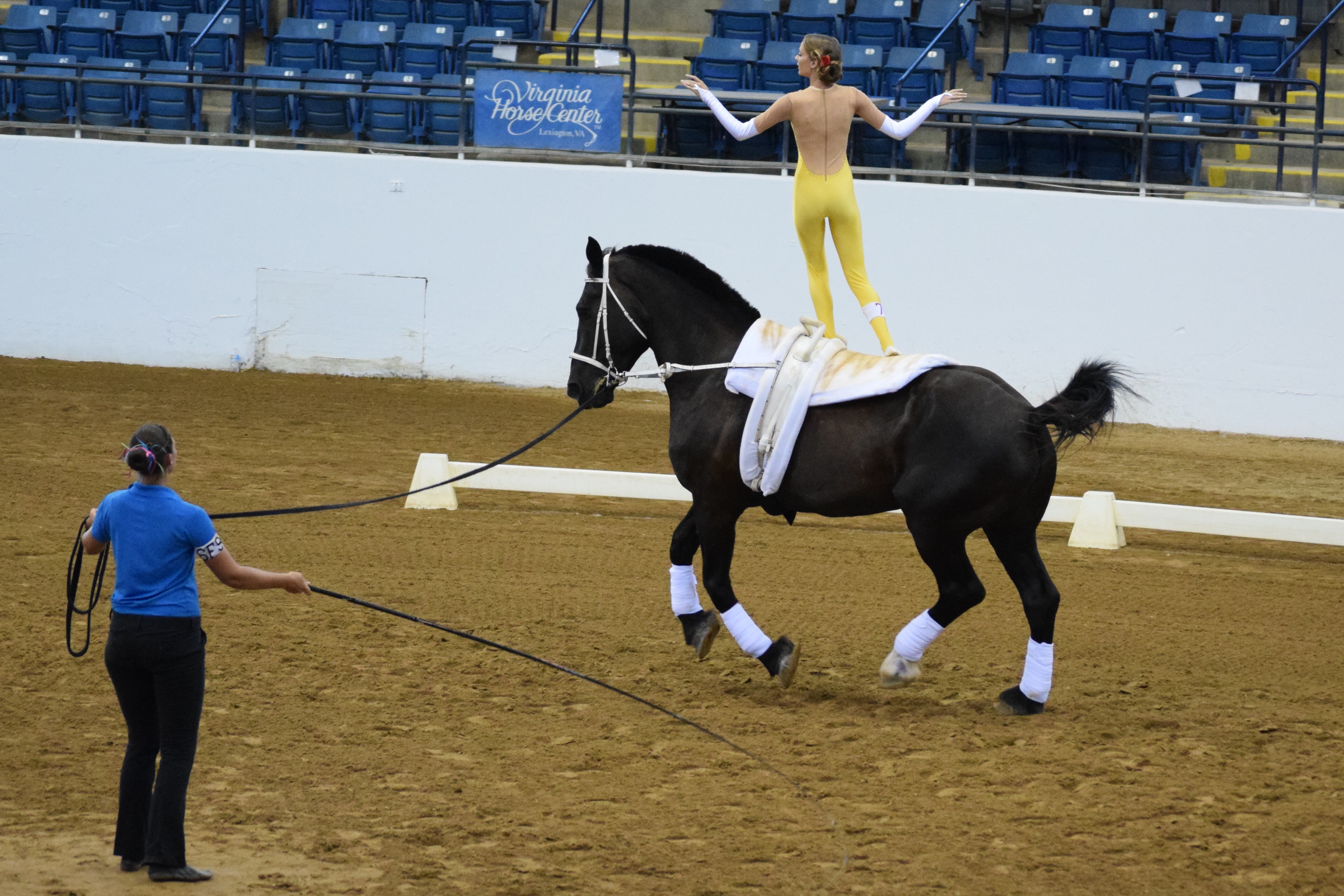 Vaulting renaissancefarm