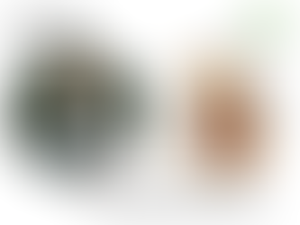 Hotet mot demokratin diskuteras under Malmö Ideellas årsmöte