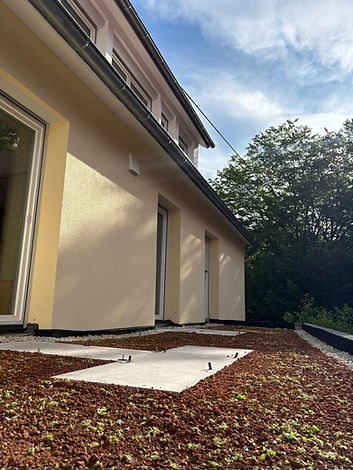 afe3dbb3-6d85-494f-8edd-d7a6527569b9.jpg
