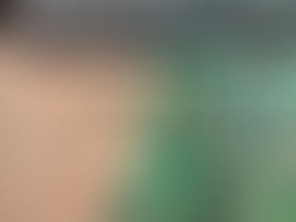 オオカマキリ2世