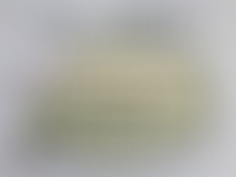 ピンクのクビキリギス