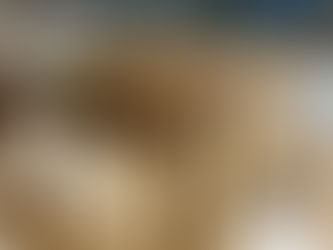 ordinaryprogram「ミニ講座」小枝でインディアンのお守りをつくろうーレポートー