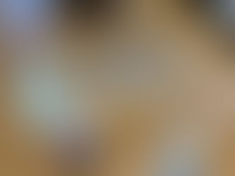 「オオムラサキの一生すごろく」はじめました!