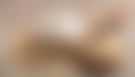 ข้าวขาว vs ข้าวกล้อง ความเหมือนและความแตกต่างที่คุณควรรู้