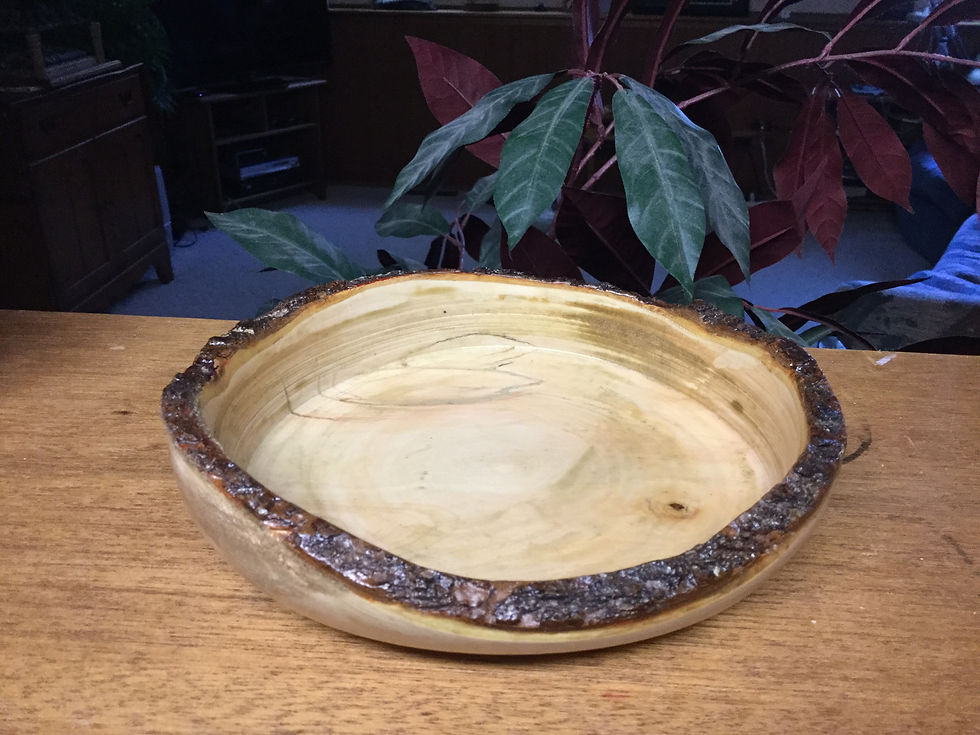 image 38