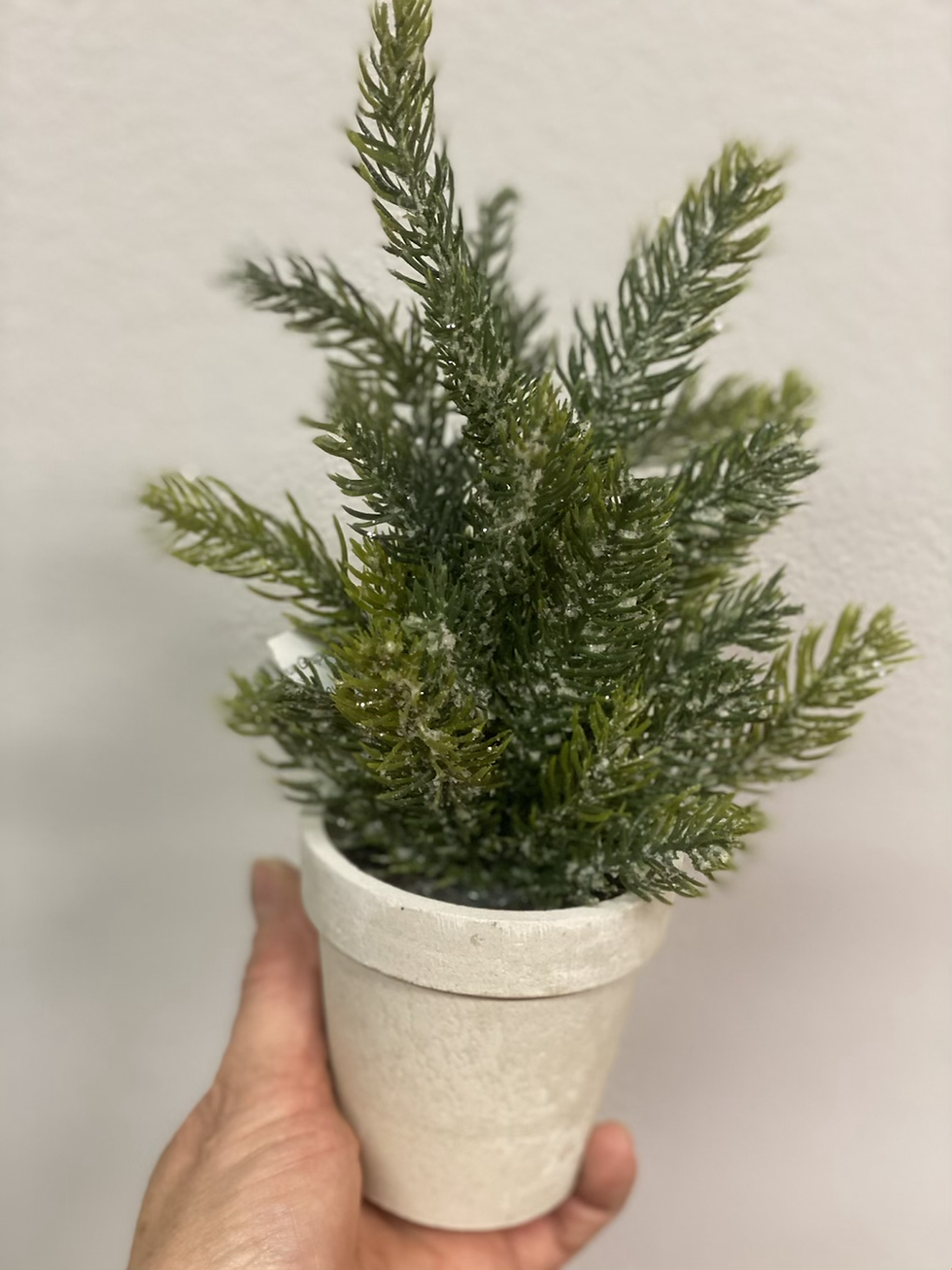Miniatura: Stromek mini  v květináči 🌲