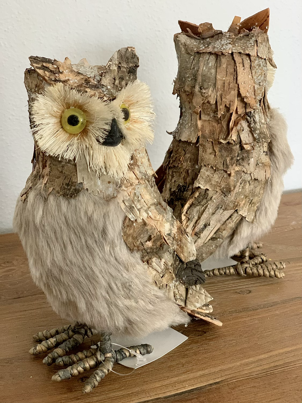 Miniatura: Sova kůra 🌲