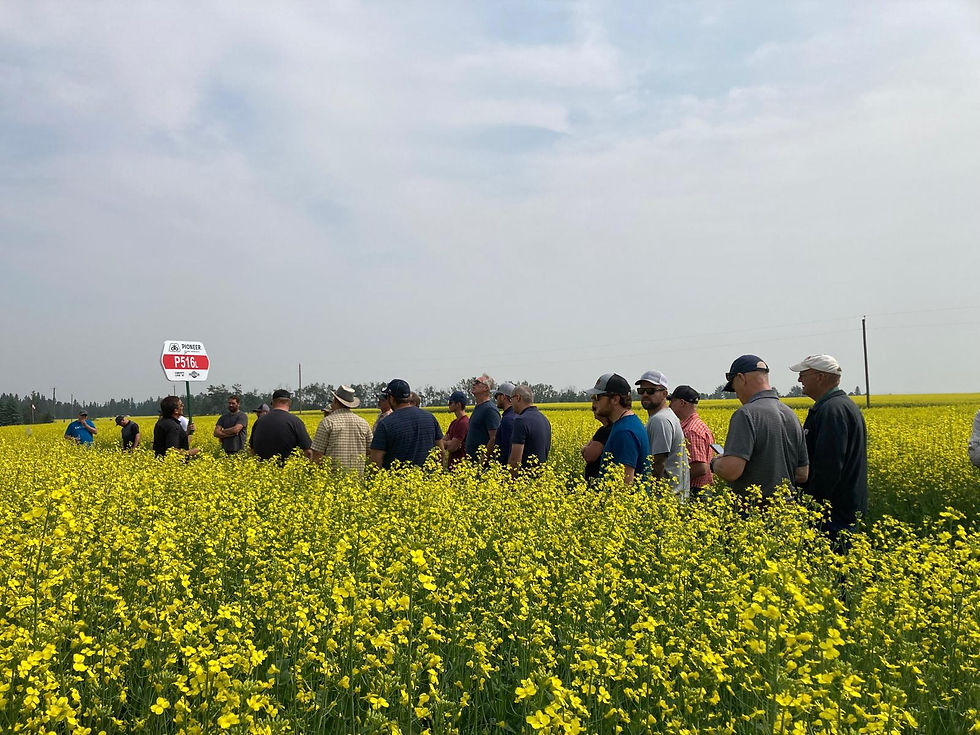 Summer Crop Tour