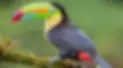 216f99_4a3426b1360f4f609455daed93d49761~mv2.webp