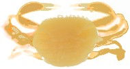 Thumbnail: BERKLEY GULP! SALTWATER 4" Rig Peeler Crab (3/bag