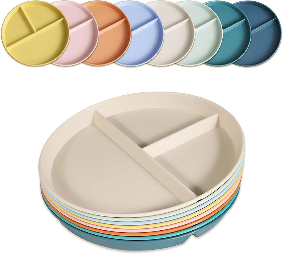 CrazyTerra Divided Plates.jpg