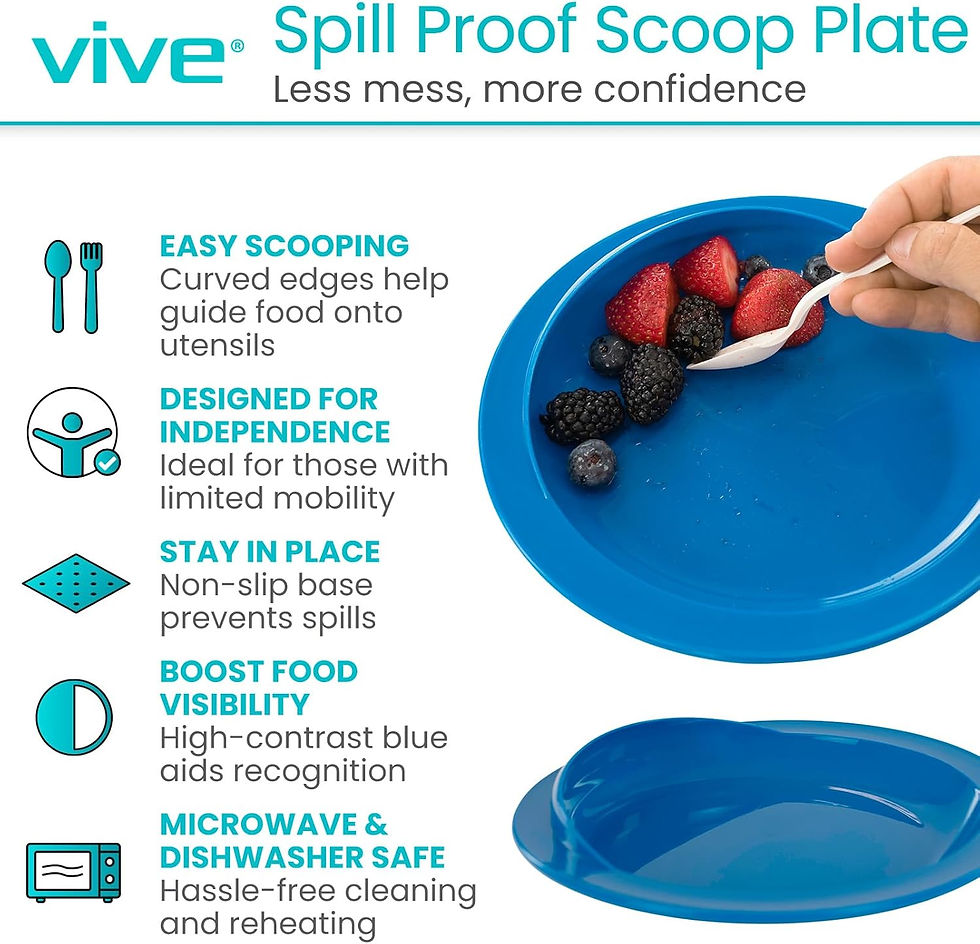 Vive Spill-Proof Plate.jpg