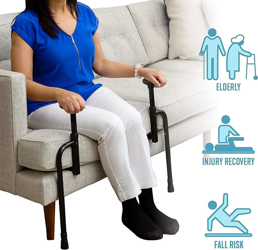 Stander EZ Stand-N-Go.jpg