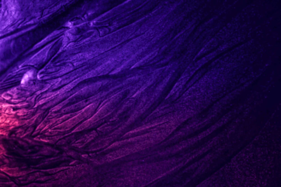 1_mentus_background.jpg