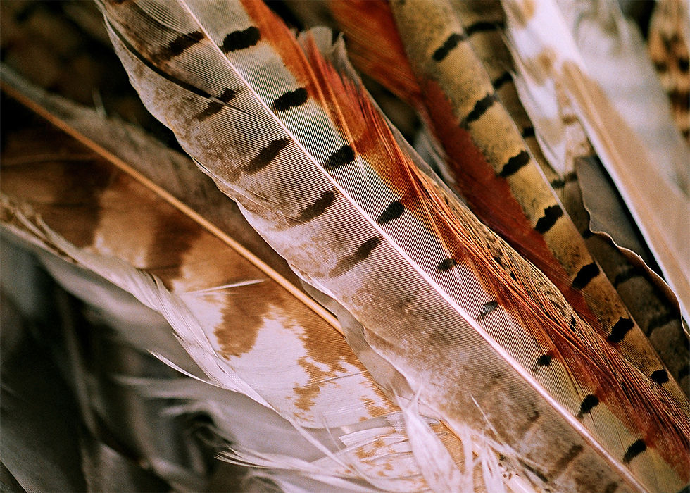 web8.jpg