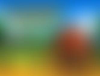 Henry Jenkins Fandom theory: Stardew Valley