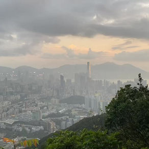 Training, Blogging and Moving Forward