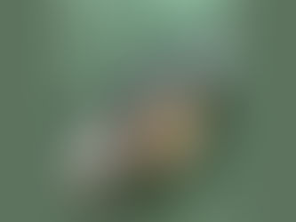 株式会社tetote 様