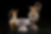 AdobeStock_57721945.jpeg