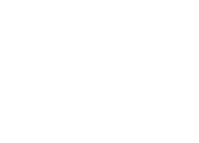 valor-emblem-white-web.png