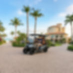 Gemini_Generated_Image_er206aer206aer20.jpg