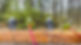 RebFlightPicture 1.jpg