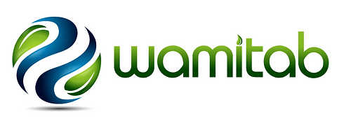 WAMITAB.png