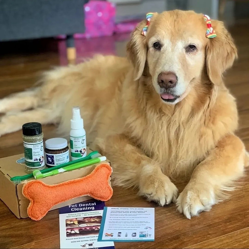 Natural Pet Dental Cleaning