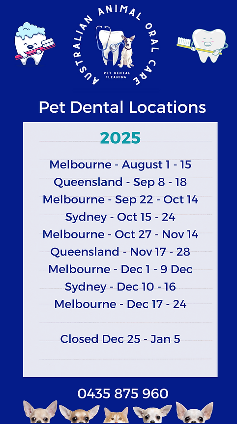 Dental Locations 2025 Dates (16).png