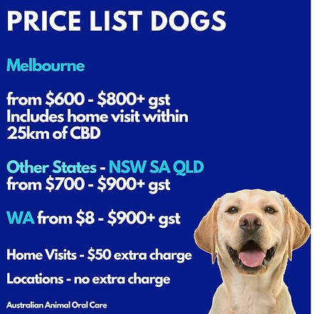 2025 CLEANING PRICE LIST (2).png