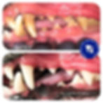 Natural Pet Dental Cleaning without Anaesthesia