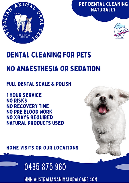 DOGGY DENTAL