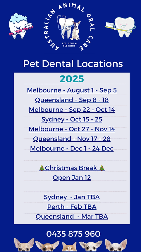 Dental Locations 2025 Dates (21).png