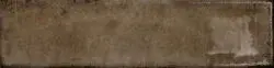 Thumbnail: Iris