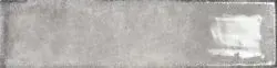 Thumbnail: Iris