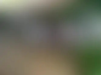 Choosing Your Perfect Handfasting Cord