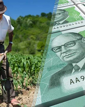 Financiamiento del AGRO co