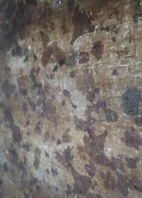 Installation view of “Listening to the garden” by Tomomi Hanzawa