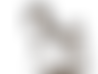 Jogos Vorazes: Capítulo 2 (O Filho do Padeiro)